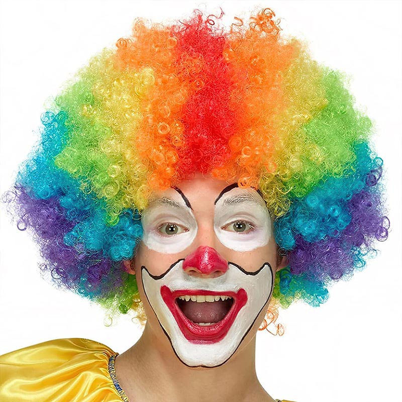 Soul Lady Rainbow Clown Wig Short Bouncy Afro Curly Halloween Costume Wig For Party Carnival Wear and Go Wigs