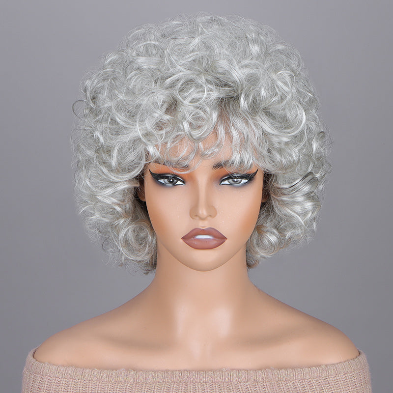 Short Light Salt And Pepper Curly Wig For Seniors Glueless Lightweight ...