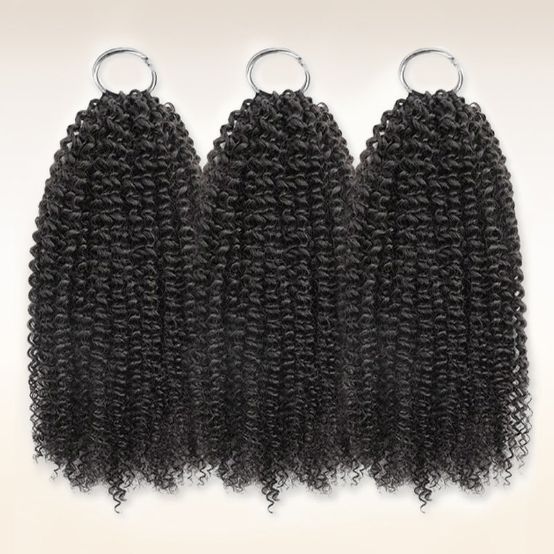 Soul Lady Wigs| natural black kinky curly crochet extensions, realistic human hair with defined curls for versatile styling.