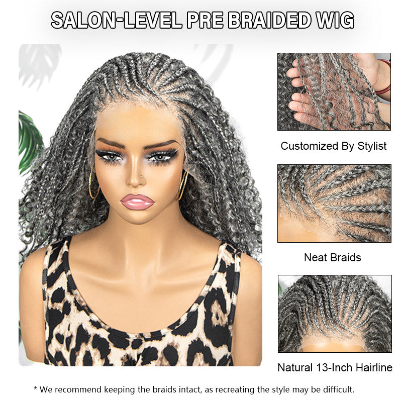 Gray Curly Human Hair Wig 13x4 HD Lace Front Wigs Pre  display picture 1