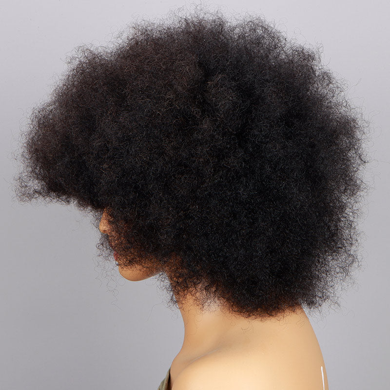 Soul Lady Boom Afro 4C Curl Wigs Real Human Hair Non-Lace Glueless Wear And Go Wigs Natural Black-10 inch wig side -side show