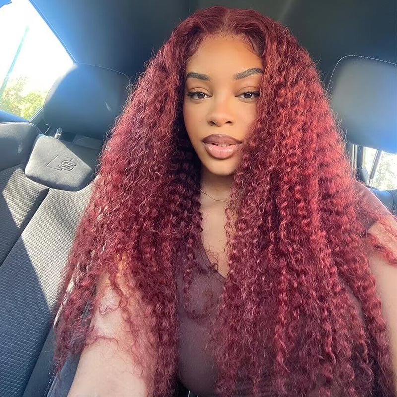 Clara Colour 33 Curly Twists Frontal Braided Wig
